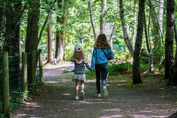 Des activités ludiques et éducatives pour vos enfants en Auvergne
